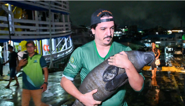Noventa animais silvestres são resgatados pelo Ipaam de janeiro a maio