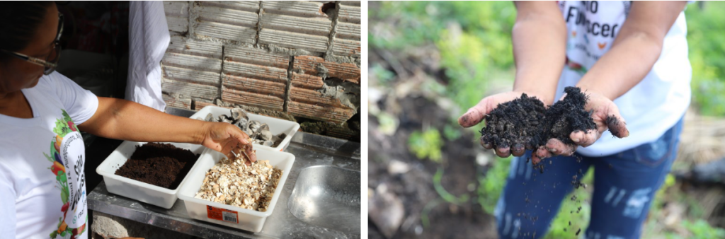 Sepror divulga Plano Estadual de Agroecologia e Produção Orgânica do Amazonas para consulta pública