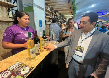 Suframa participa do Inova Amazônia Summit em Macapá e reforça atuação em Pesquisa, Desenvolvimento e Inovação