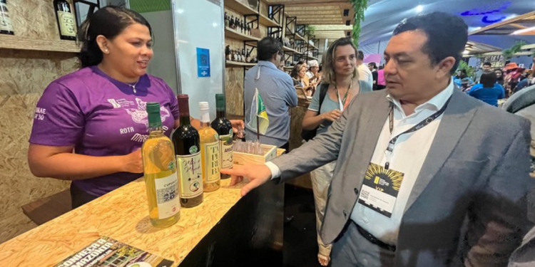 Suframa participa do Inova Amazônia Summit em Macapá e reforça atuação em Pesquisa, Desenvolvimento e Inovação