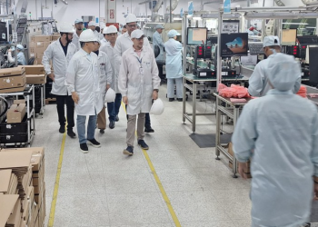 Tradicional fabricante de medidores de energia elétrica recebe visita da Suframa