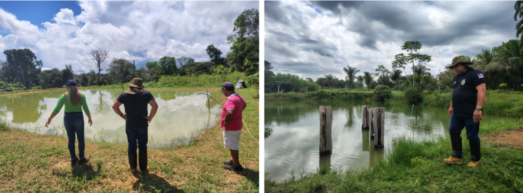 ADS realiza acompanhamento técnico a piscicultores de Iranduba para comercialização de pescado