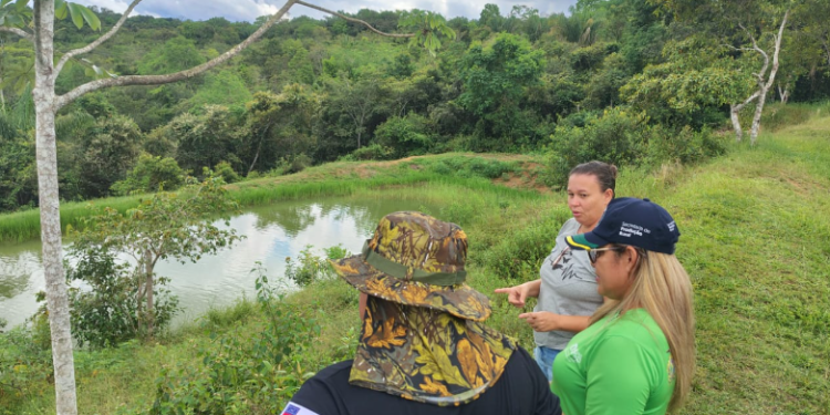 ADS realiza acompanhamento técnico a piscicultores de Iranduba para comercialização de pescado