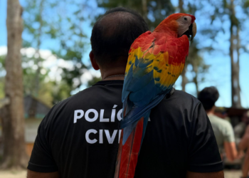 Dia Mundial do Meio Ambiente Polícia Civil atua no combate aos maus-tratos animais e a preservação ambiental