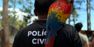 Dia Mundial do Meio Ambiente Polícia Civil atua no combate aos maus-tratos animais e a preservação ambiental