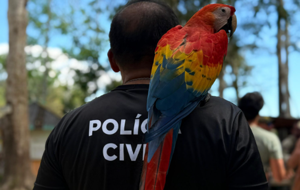 Dia Mundial do Meio Ambiente Polícia Civil atua no combate aos maus-tratos animais e a preservação ambiental