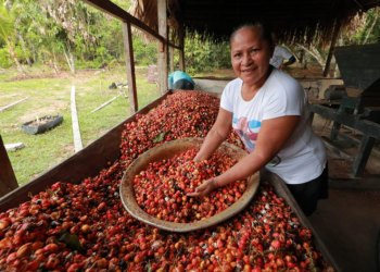 Eco Amazônia Programação terá painéis e palestras para debater soluções ambientais na Semana do Meio Ambiente