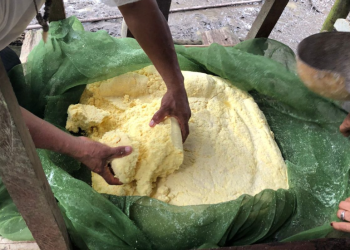 Em Tabatinga, Idam capacita agricultores familiares que atuam na mandiocultura