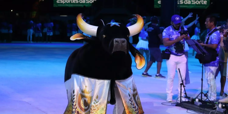 Festival de Parintins 2025Caprichoso emociona torcedores em último ensaio técnico com espetáculo vibrante no Bumbódromo