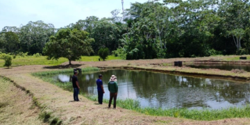 Municípios do Alto Solimões recebem ações ambientais do Ipaam a partir de quinta-feira