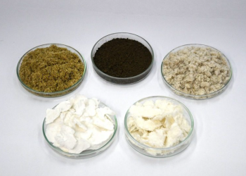 Projeto apoiado pelo Governo do Amazonas analisa o potencial de resíduos agroindustriais amazônicos