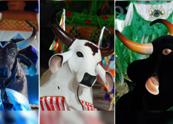 Batalha dos bois-bumbás marca a última noite do 67º Festival Folclórico do Amazonas