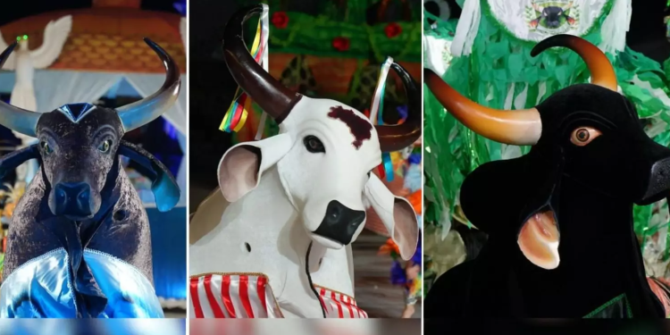 Batalha dos bois-bumbás marca a última noite do 67º Festival Folclórico do Amazonas