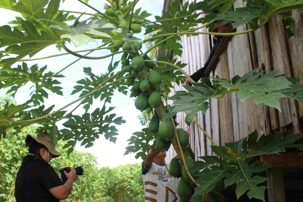 Oficina gratuita de Roteiro para Cinema é oferecida em Manaus como ação do projeto ‘Caminho Ancestral’ 
