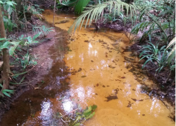 Pesquisa apoiada pelo Governo do Amazonas analisa fontes de água e possíveis alterações relacionadas à urbanização