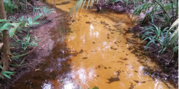 Pesquisa apoiada pelo Governo do Amazonas analisa fontes de água e possíveis alterações relacionadas à urbanização