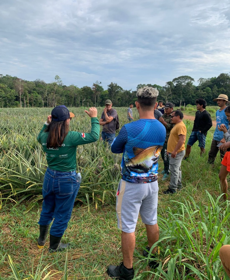 Em Novo Remanso, Idam oferece capacitação em Boas Práticas Agrícolas da Cultura do Abacaxi 