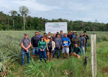 Em Novo Remanso, Idam oferece capacitação em Boas Práticas Agrícolas da Cultura do Abacaxi