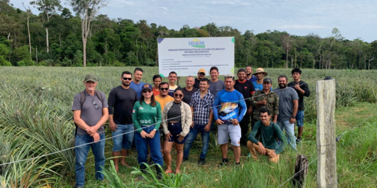 Em Novo Remanso, Idam oferece capacitação em Boas Práticas Agrícolas da Cultura do Abacaxi