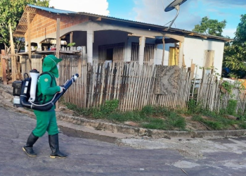 Saúde divulga cenário de arboviroses no Amazonas nesta quinta-feira
