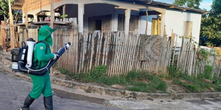 Saúde divulga cenário de arboviroses no Amazonas nesta quinta-feira