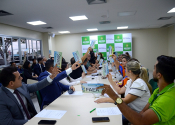Conselho de Meio Ambiente do Amazonas aprova projeto para intensificação do controle ambiental no estado