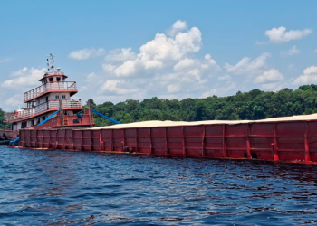 Operação Rio Negro resulta em R$ 427,8 mil em multas por crimes ambientais em Unidades de Conservação do Amazonas