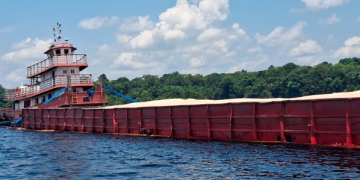 Operação Rio Negro resulta em R$ 427,8 mil em multas por crimes ambientais em Unidades de Conservação do Amazonas