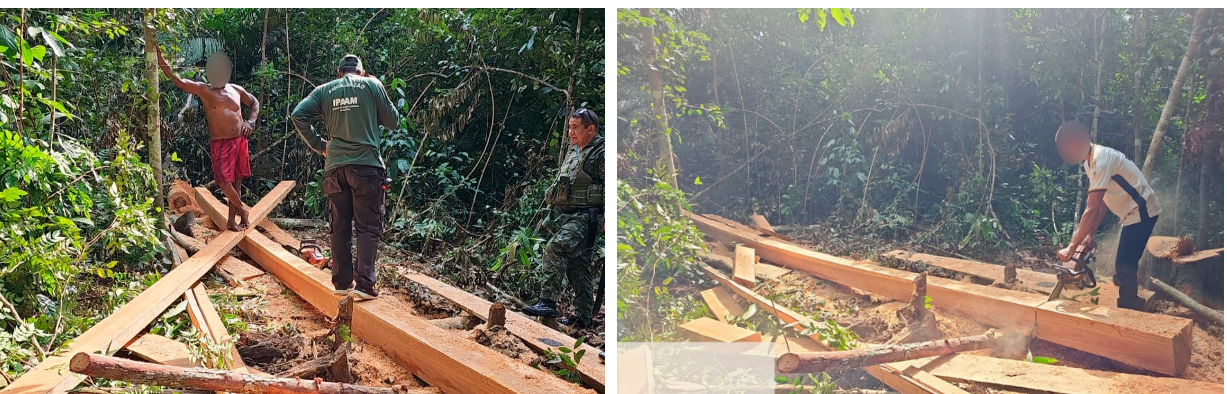 Operação Rio Negro resulta em R$ 427,8 mil em multas por crimes ambientais em Unidades de Conservação do Amazonas