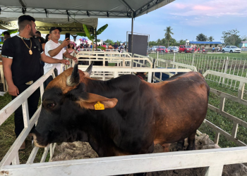 Sepror realiza apoio técnico e repasse de recursos na 3ª Festival AgroVárzea e 1ª Feira Agro de Careiro da Várzea