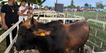 Sepror realiza apoio técnico e repasse de recursos na 3ª Festival AgroVárzea e 1ª Feira Agro de Careiro da Várzea