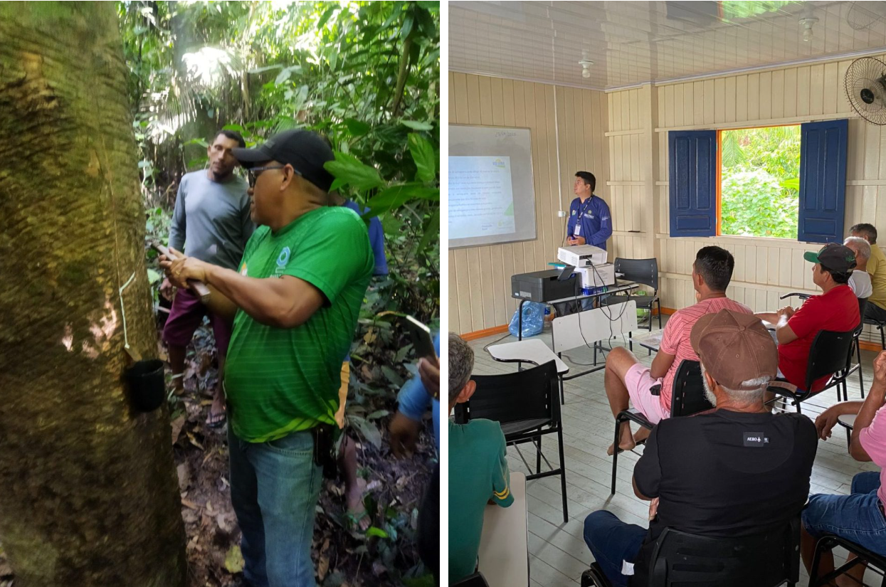 Idam já capacitou 272 extrativistas como parte do projeto Paisagens Sustentáveis da Amazônia em 2025