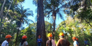 Idam já capacitou 272 extrativistas como parte do projeto Paisagens Sustentáveis da Amazônia em 2025