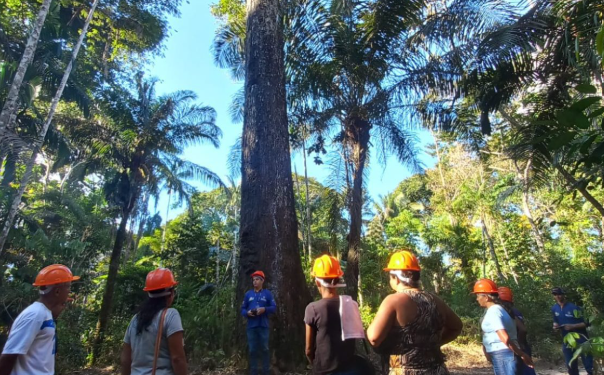 Idam já capacitou 272 extrativistas como parte do projeto Paisagens Sustentáveis da Amazônia em 2025