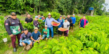 No Dia da Agricultura, Idam ressalta a importância do trabalho de extensão rural para o setor