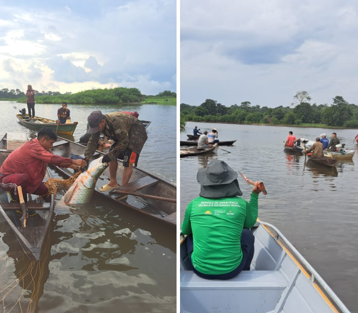 Em Maraã, pescadores realizam primeira pesca de pirarucu manejado