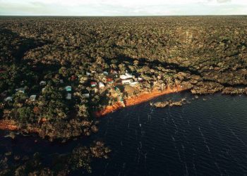 Edital Prospera Sociobio prorroga inscrições e vai investir mais de R$ 70 milhões na Amazônia