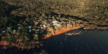 Edital Prospera Sociobio prorroga inscrições e vai investir mais de R$ 70 milhões na Amazônia