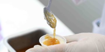 Programa Futuras Cientistas incentiva alunas da rede estadual a criar alimentos a partir de fruto amazônico (