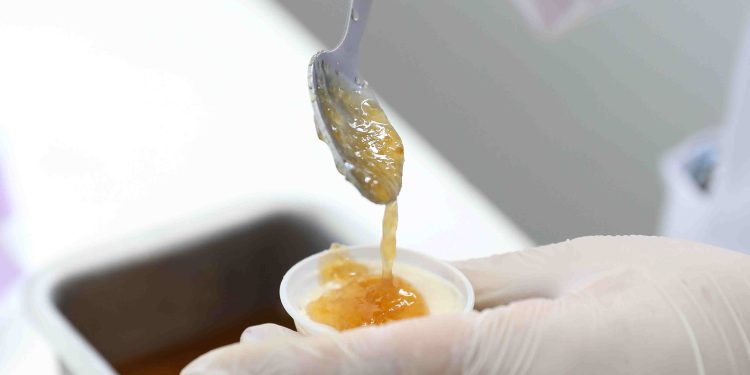 Programa Futuras Cientistas incentiva alunas da rede estadual a criar alimentos a partir de fruto amazônico (