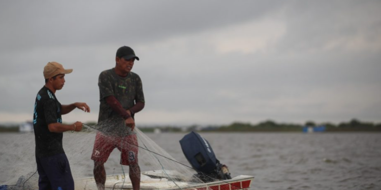 Defeso em foco: Idam orienta pescadores e visitantes durante festival em Barcelos