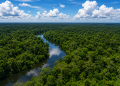 Queimadas no Brasil caem 31% em 2025 e Amazônia registra menor área atingida pelo fogo em mais de quatro décadas