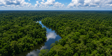 Queimadas no Brasil caem 31% em 2025 e Amazônia registra menor área atingida pelo fogo em mais de quatro décadas