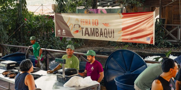 Feira do Tambaqui oferece 8 toneladas de pescado em Manaus neste sába